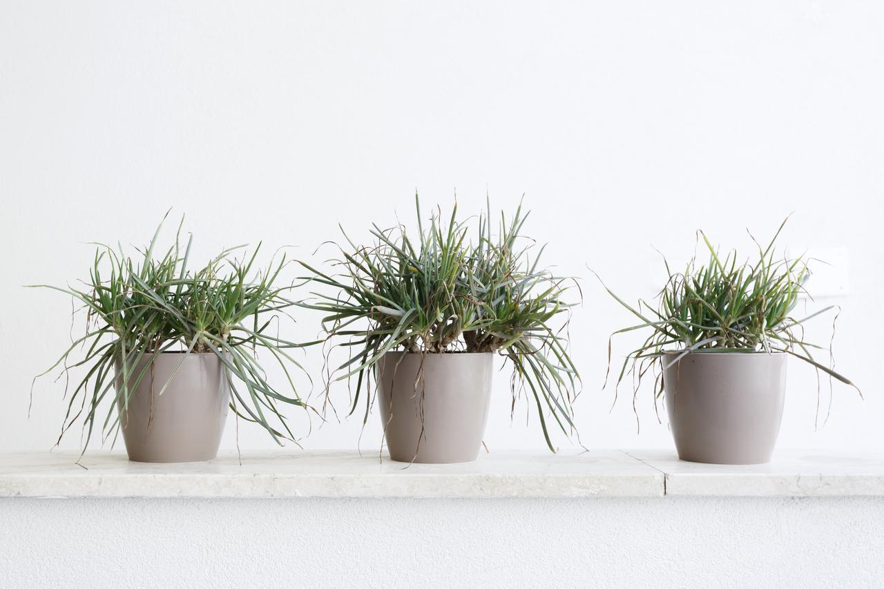 Minimal Rooms Gallipoli Ngoại thất bức ảnh